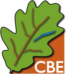 Logo de CBE